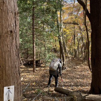 山頂からの踏み跡が少ないのでピンテを目印に。

謎の老婆出現‼︎
（怒られます）
