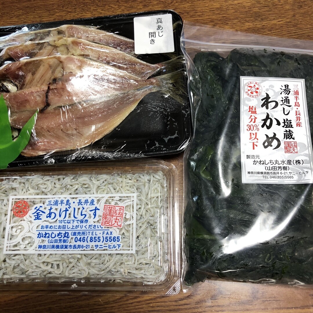 荒崎から磯歩きしてかねしち丸でテイクアウ みゅさんのモーメント Yamap ヤマップ