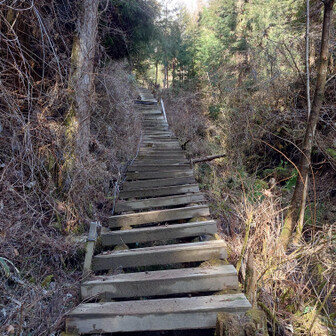 金剛山・二上山・大和葛城山 下りは寺谷から。

この階段が怖い:(   ´꒳`;)
下から見たらおわかりですが
歪んでってます。

そしていつか踏み板ぶち抜く
気がする💦