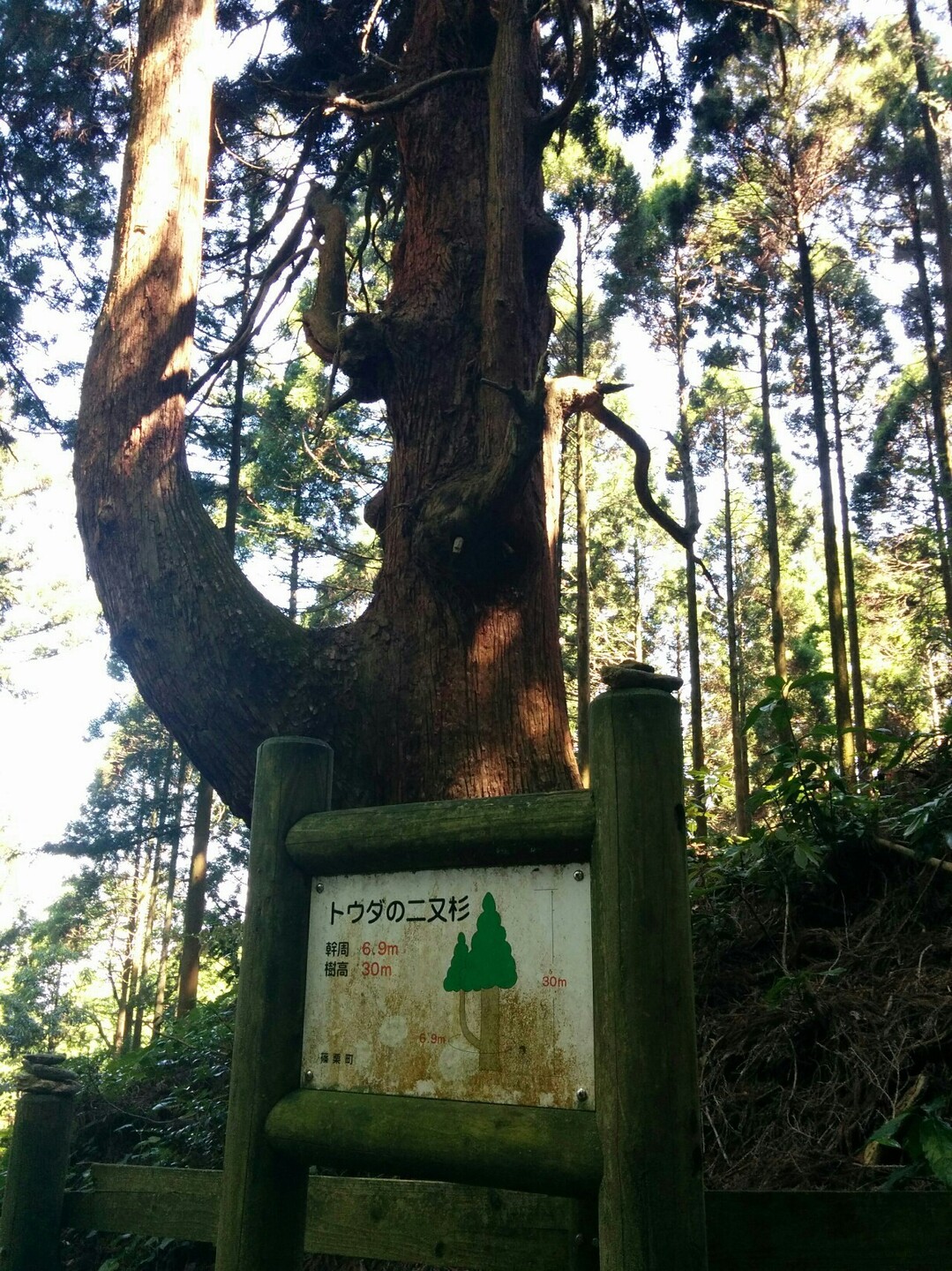 若杉 宝満縦走 くにさんの宝満山 三郡山 若杉山の活動日記 Yamap ヤマップ