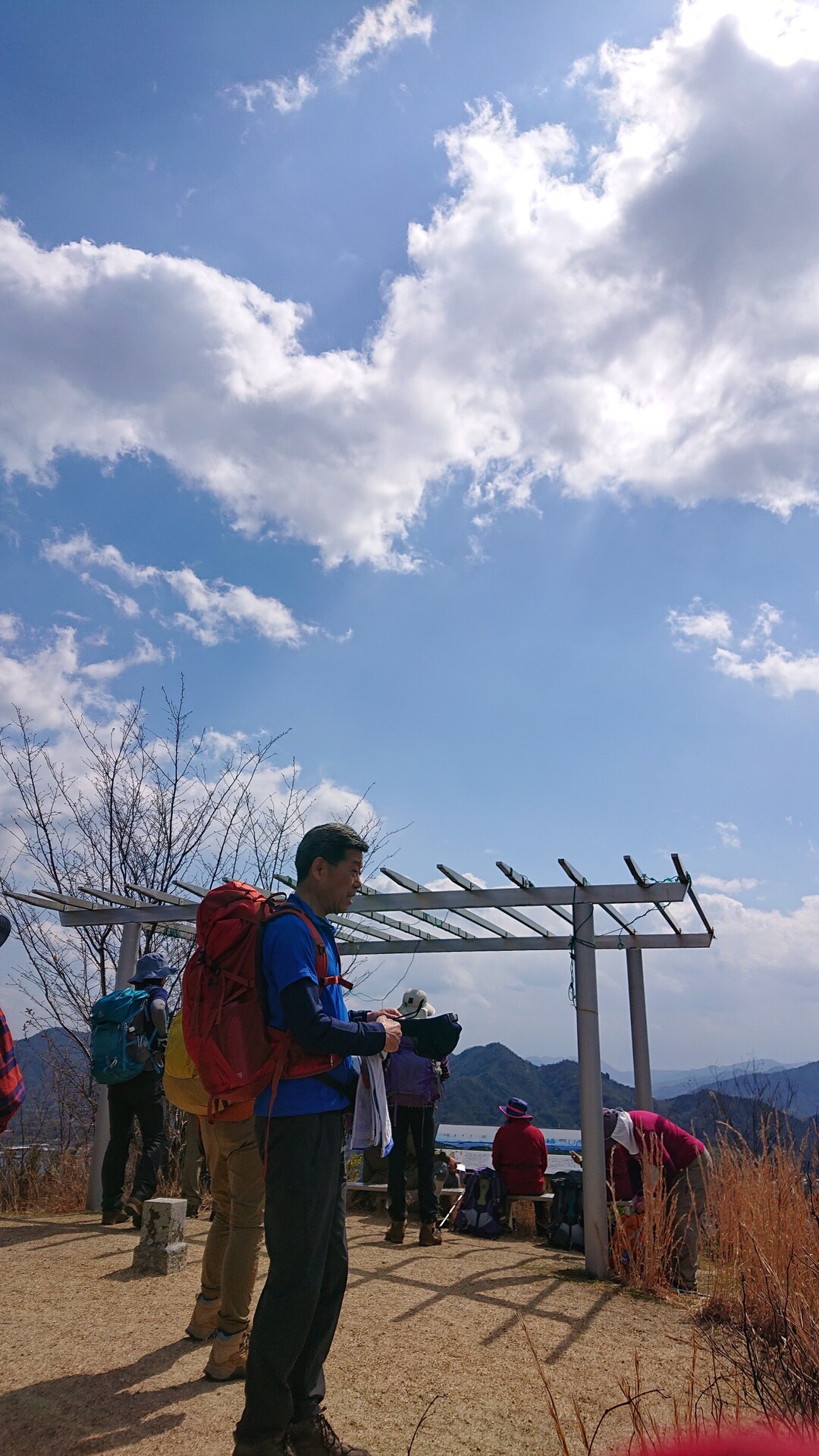 尾長山から広島市と似島を見る(原画) 開ト作 公式通販で開催のセール