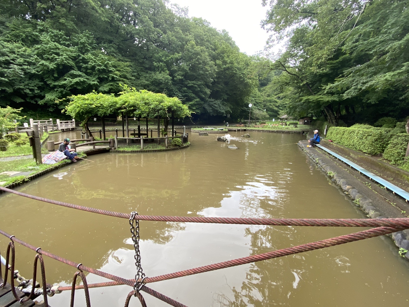 福生 浅間岳 多摩湖 萩山 よっぴさんの六道山 多摩湖 狭山湖の活動データ Yamap ヤマップ