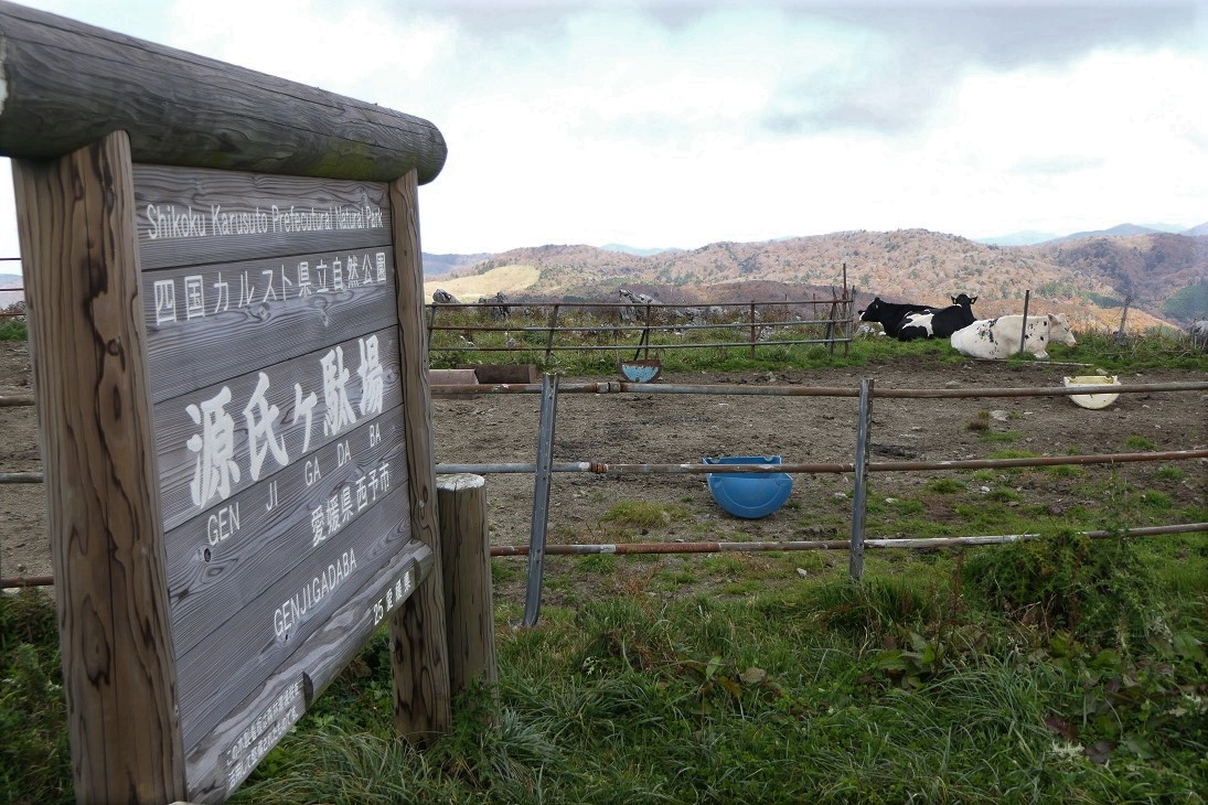 Go To四国カルスト 八釜渓谷 自然の造形美 Denaliさんの源氏ヶ駄場の活動日記 Yamap ヤマップ