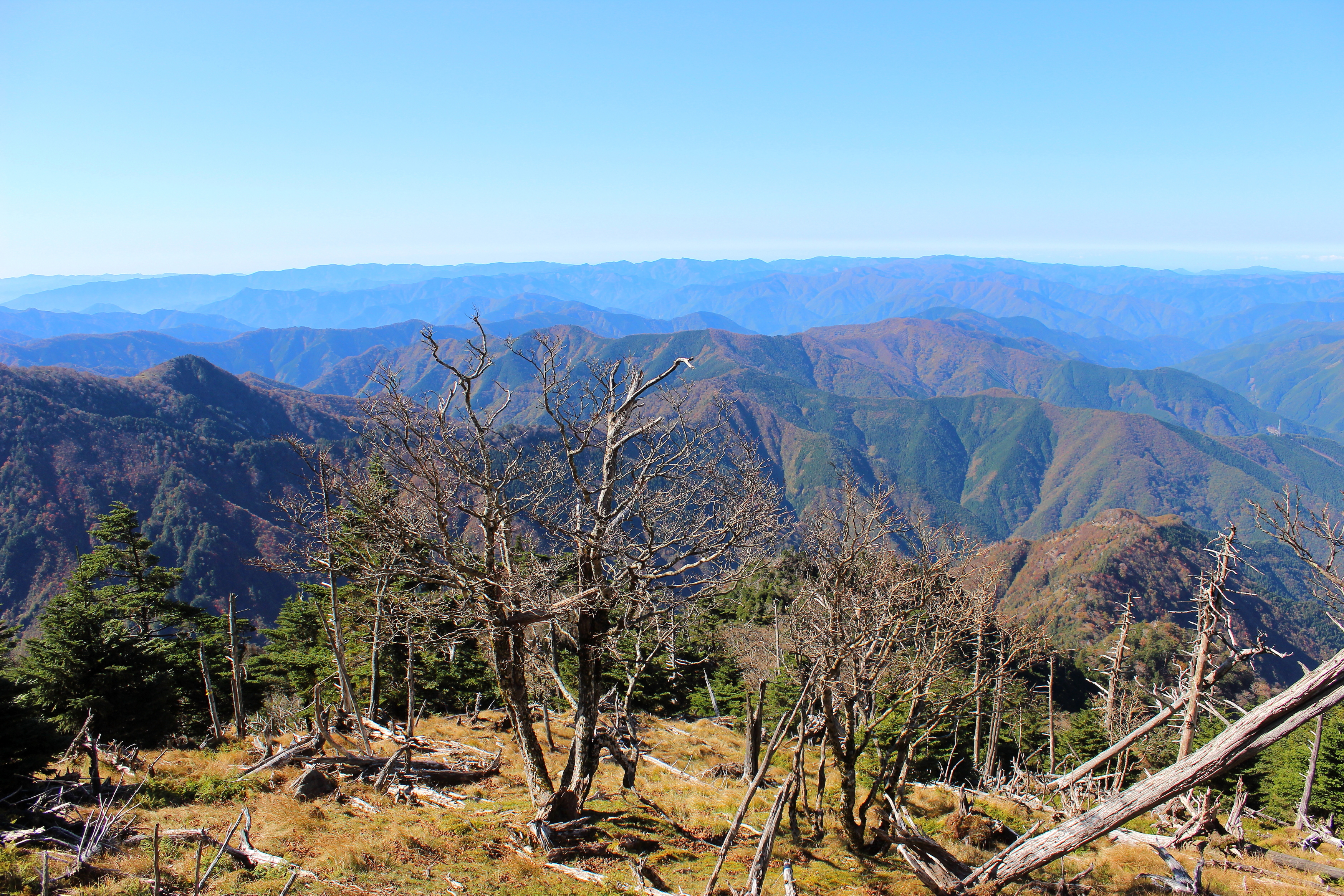 19山歩記 1 錦秋の八経ヶ岳 中尾からトップリ尾を巡る まほろば19さんの八経ヶ岳の活動日記 Yamap ヤマップ