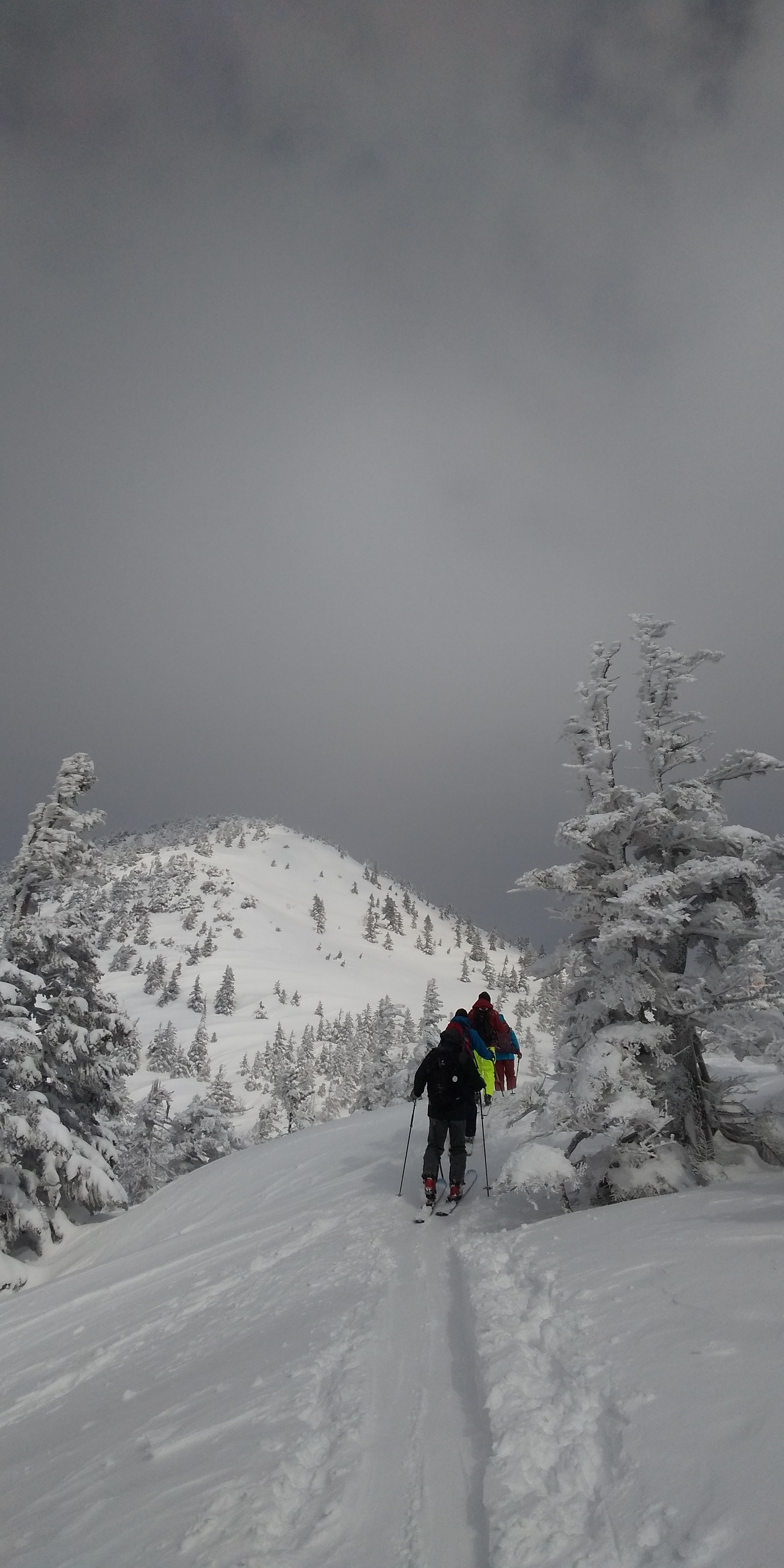 前岳斜面から銅像茶屋に 八甲田山 高田大岳 雛岳 03 18 島田のおっちゃんさんの八甲田山 高田大岳 雛岳の活動データ Yamap ヤマップ