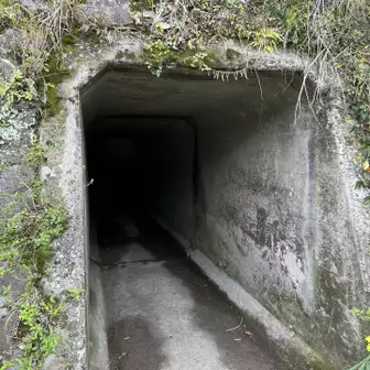トンネル出てまたトンネルへ