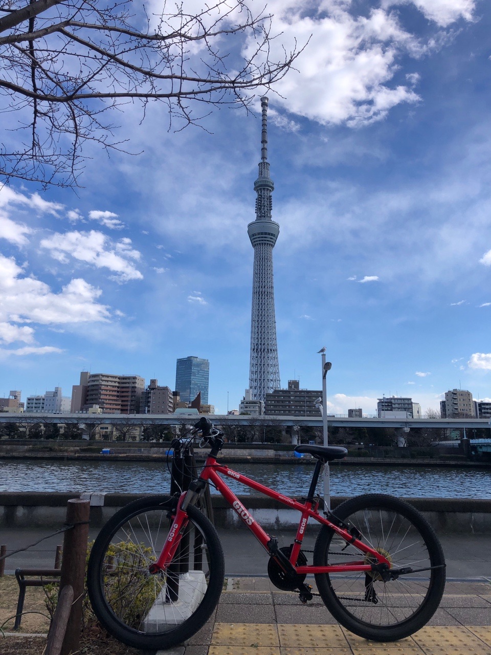 キッズマウンテン で スカイツリー 往復 佐助さんのさいたま市の活動日記 Yamap ヤマップ