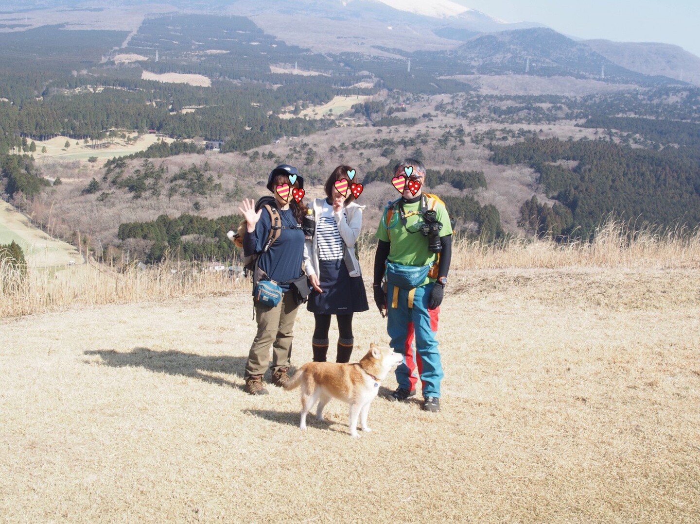 ハイキングや登山に最適な犬トップ15
