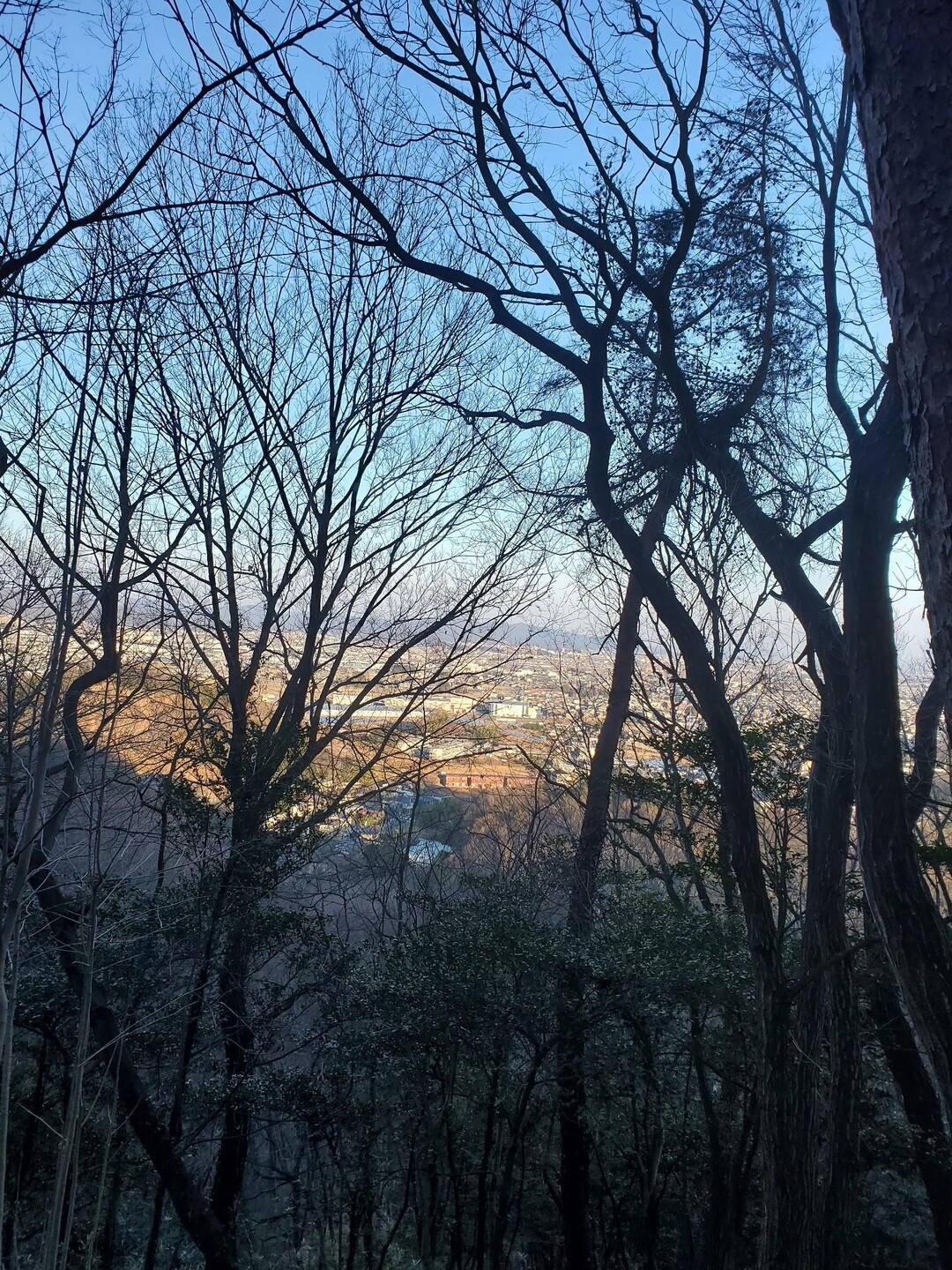 小八王子山・中八王子山・大八王子山 / トマヤキさんの金山（新田金山）・八王子丘陵の活動データ YAMAP / ヤマップ