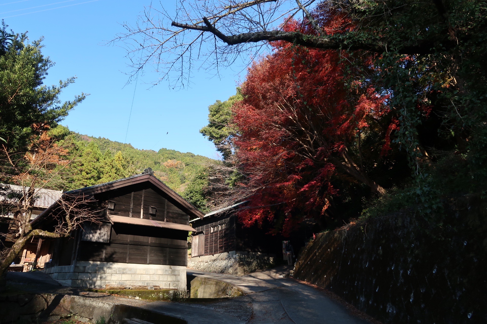 今回は静岡県焼津市の花沢の里から満観峰 赤きつさんのモーメント Yamap ヤマップ