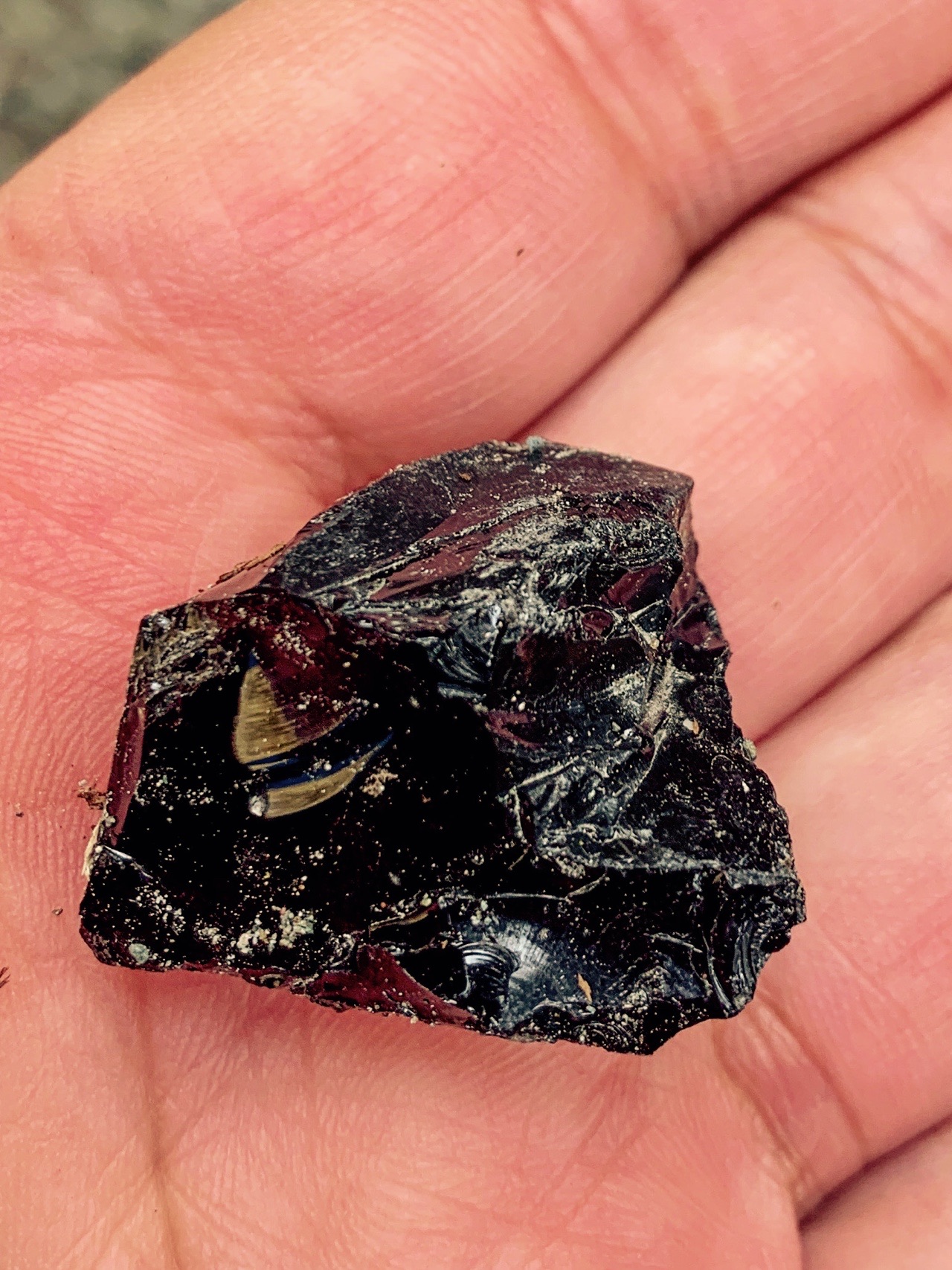 ミツバ岳 本当は椿丸に行く予定が 法行沢林道が工事中で引き返しました せんちょうさんの三国山の活動日記 Yamap ヤマップ