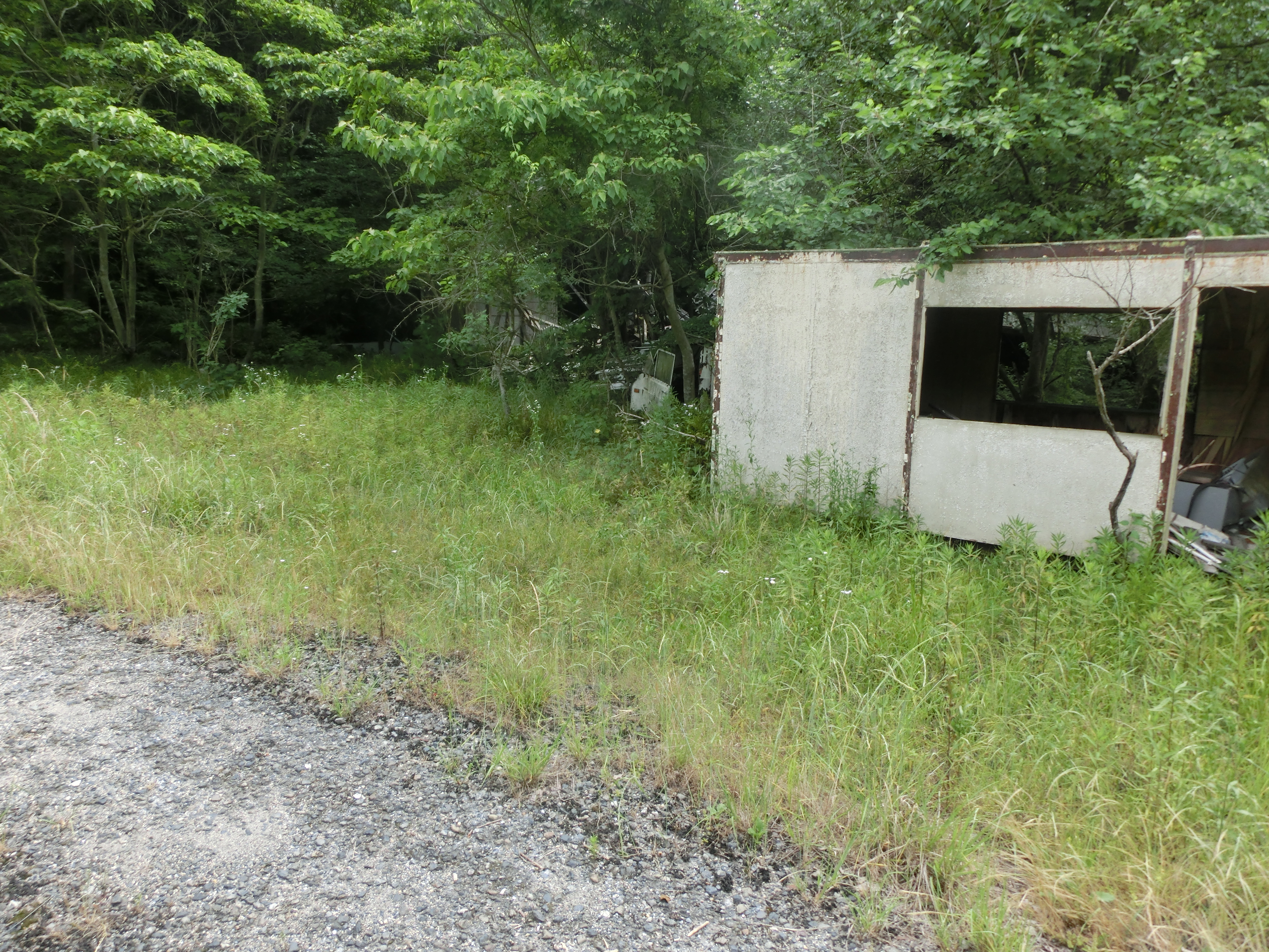 雁又山 Mooかめさんの大谷山 岐阜県 滝谷山 雁又山の活動日記 Yamap ヤマップ