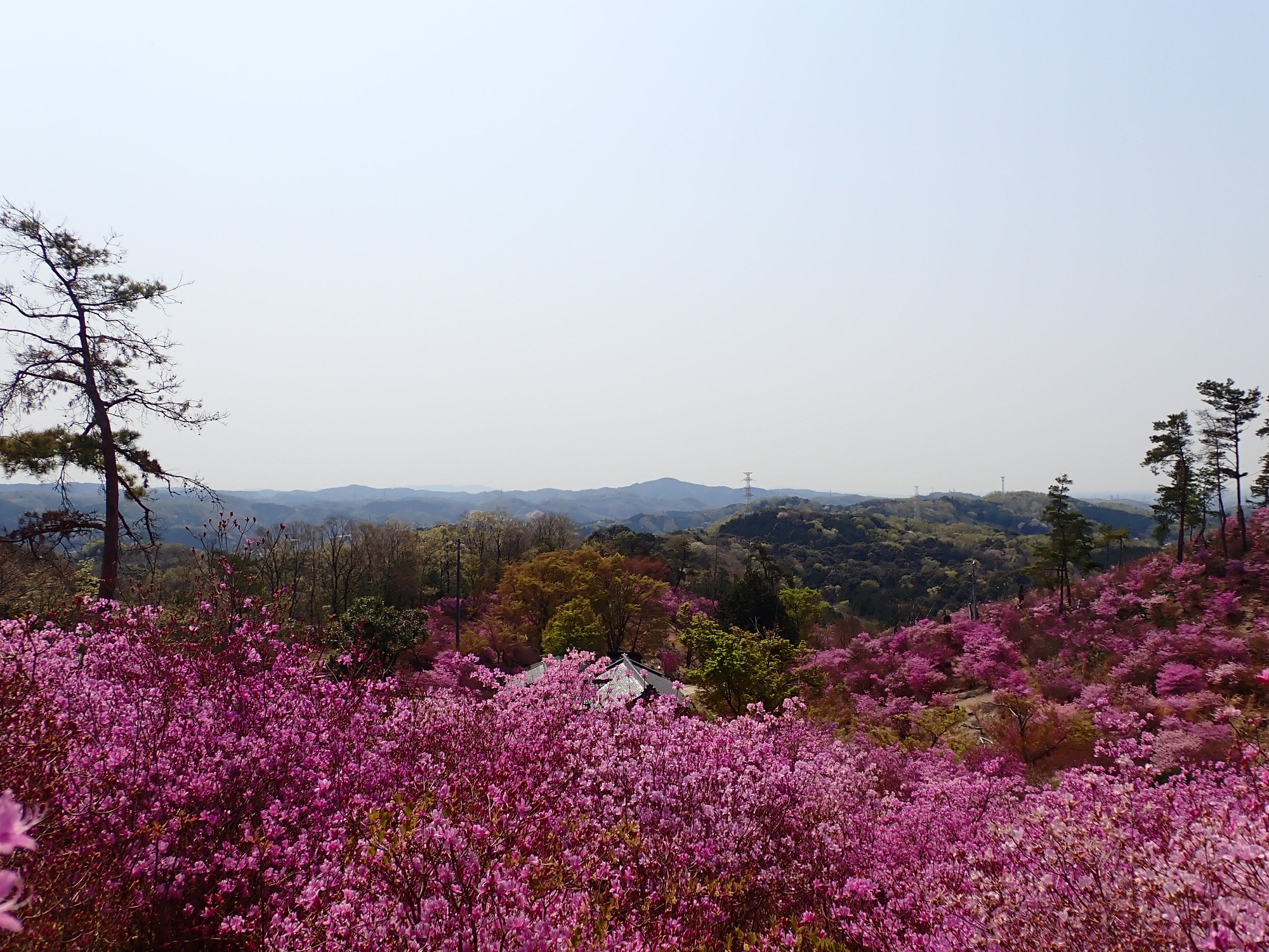 鞍ヶ池公園～古瀬間御嶽山 / 39go-enさんの豊田市（中心エリア）の活動 