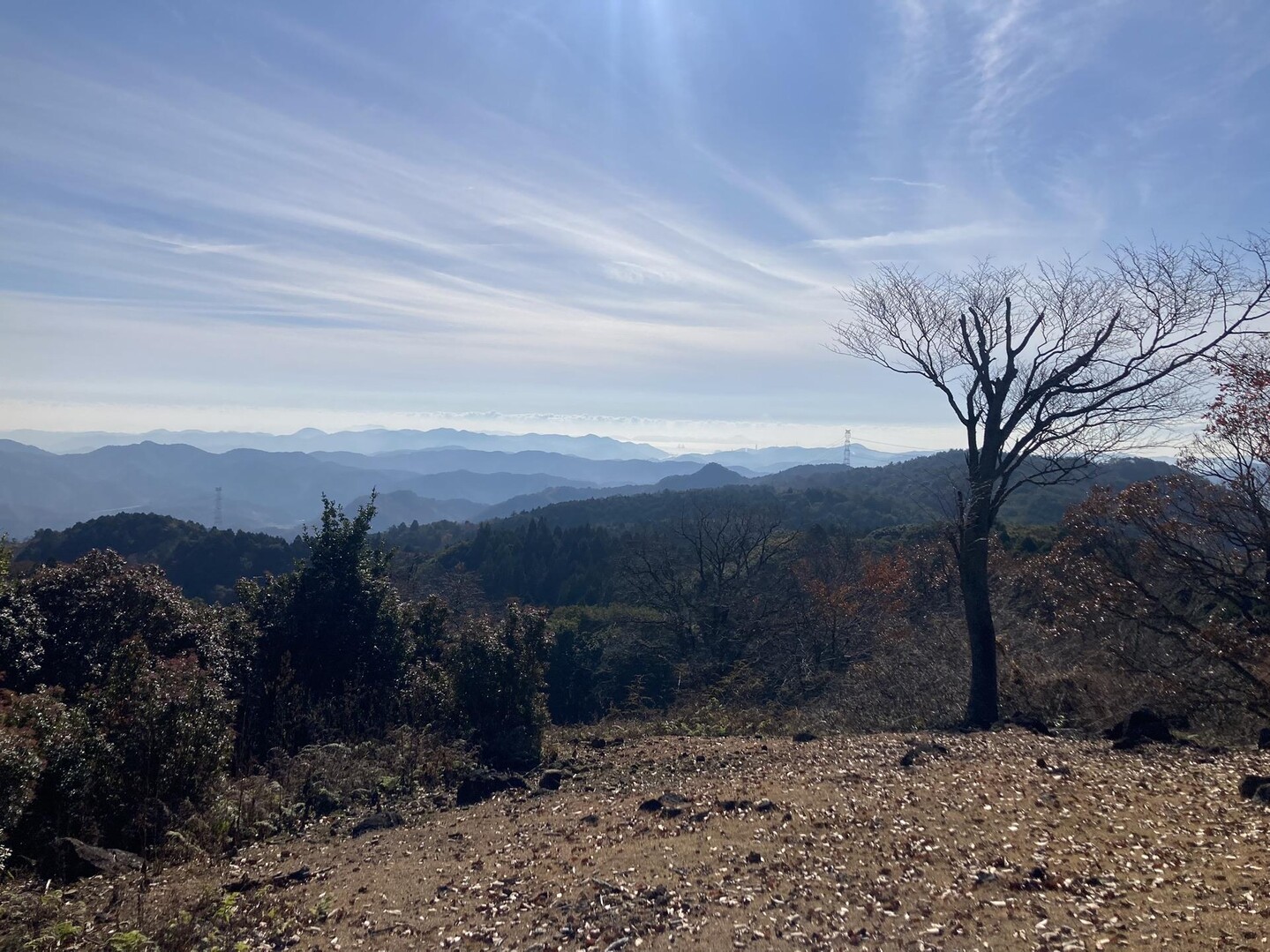 三濃山 / プリンさんの三濃山・感状山の活動データ YAMAP / ヤマップ