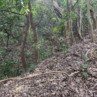 飯塚市 左は谷。