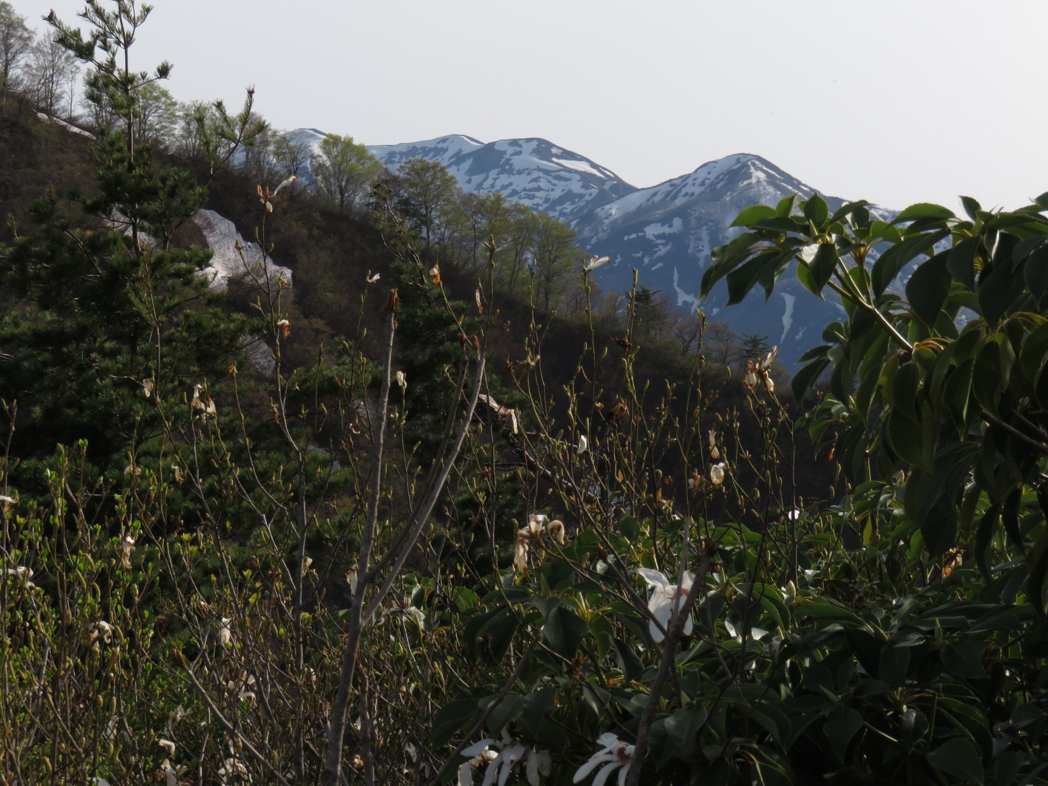 木六山・銀次郎山 権の神と粟ヶ岳