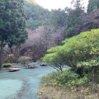 不動尻まで来ました。
ここから4キロの林道(舗装路)歩きです。
その前にベンチでひと休み。
ここはミツマタのお花畑、3月は人いっぱいのようです。