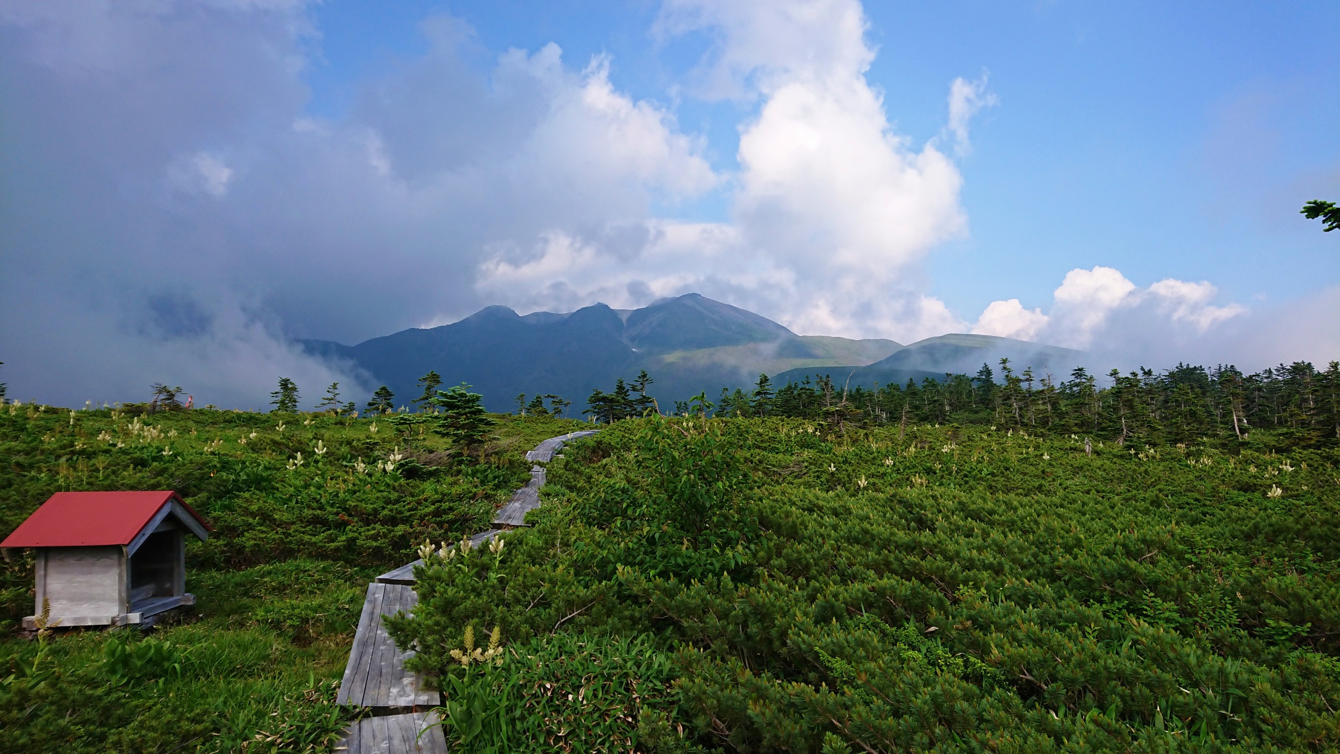 乗鞍岳 奥千町避難小屋泊 乗鞍青屋登山道 太郎之助みち こばっちさんの乗鞍岳の活動データ Yamap ヤマップ