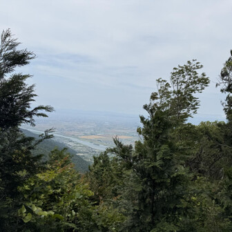 景色ちょろっとしか見えまてん( ｰ̀εｰ́ )