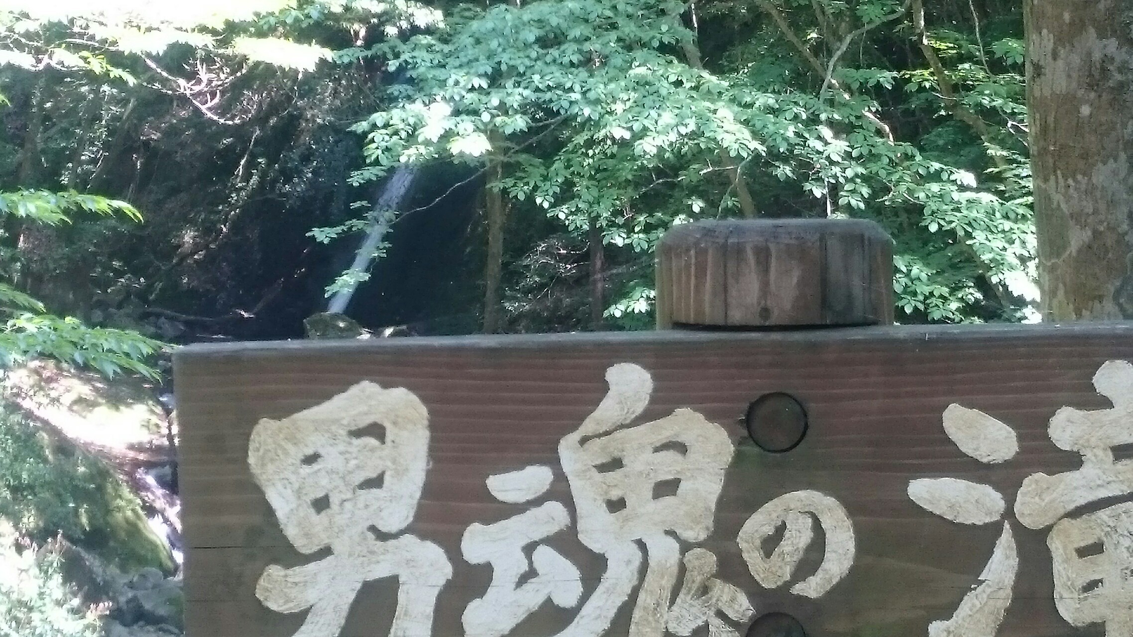 アカショウビンを追い求めて深倉峡をウロウロ みやごんさんの英彦山の活動データ Yamap ヤマップ