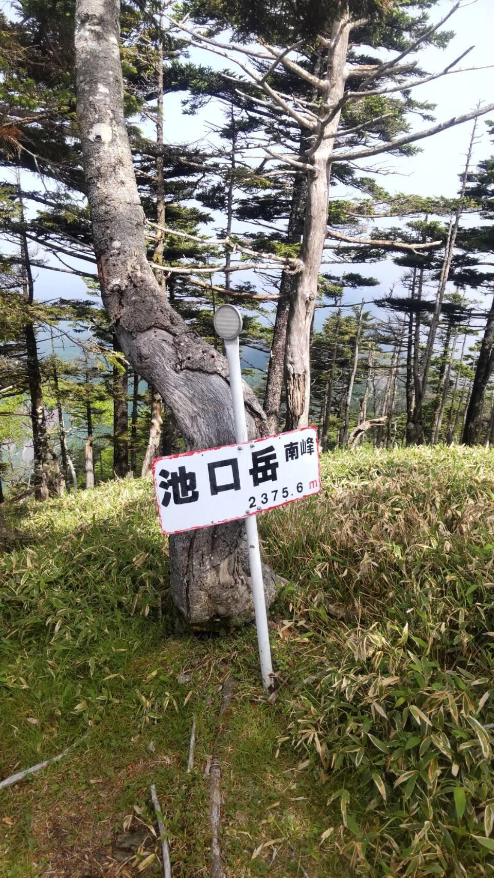 200名山池口岳 / タチーさんの池口岳・加加森山・光岳の活動データ YAMAP / ヤマップ