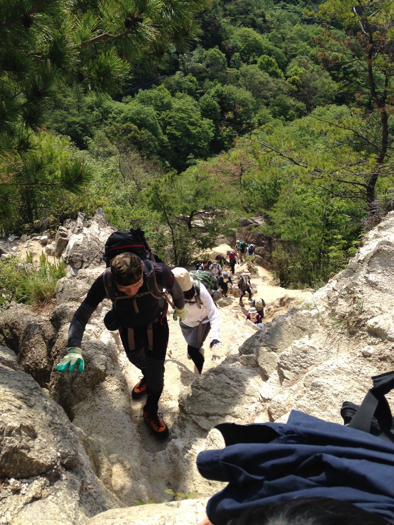 芦屋川駅から風吹岩までの往復した記録です 六甲山頂まで 行けなかったので また次回トライします 星くずさんの六甲山 長峰山 摩耶山の活動データ Yamap ヤマップ