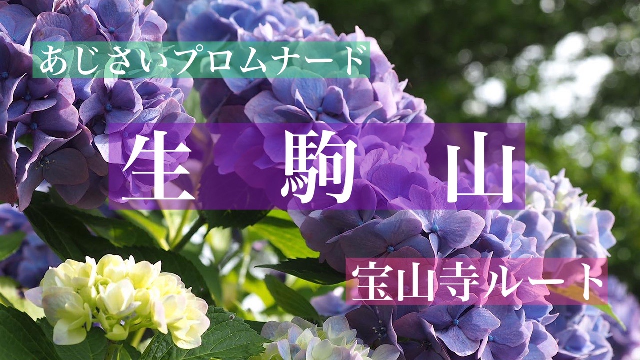 生駒山ぬかた園地あじさい園 関西登山記のmasakiさんの生駒山 神津嶽 大原山の活動データ Yamap ヤマップ