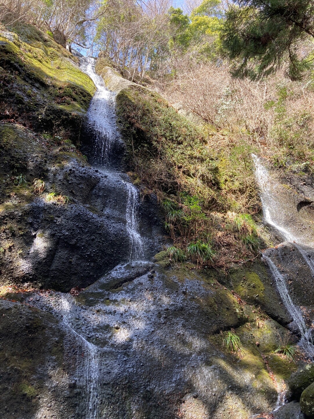 鍋足山 / あさみさんの鍋足山の活動データ YAMAP / ヤマップ