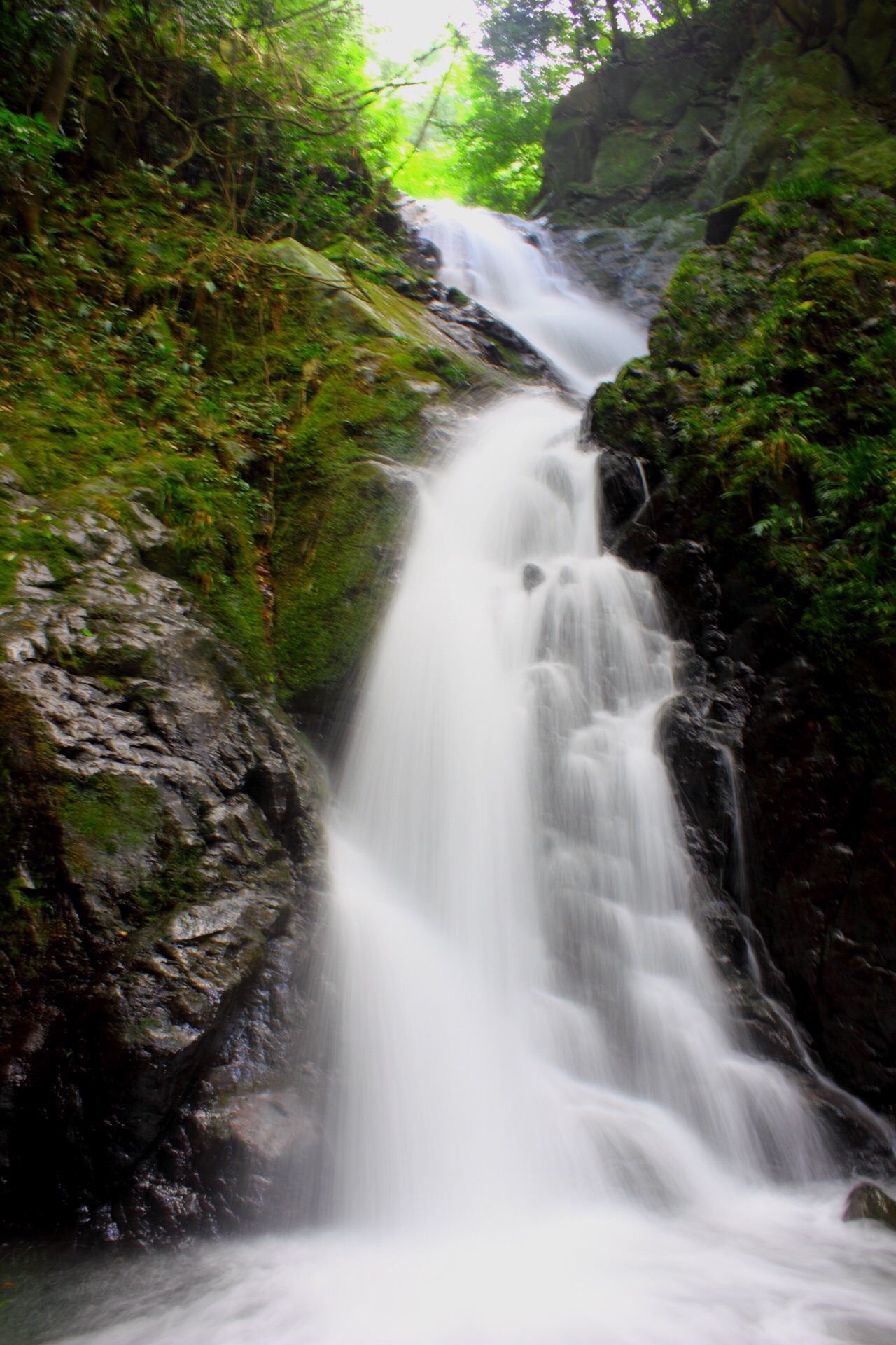 滝ップ 赤村ー琴弾の滝 大音の滝 まき おっきー さんの戸城山の活動日記 Yamap ヤマップ
