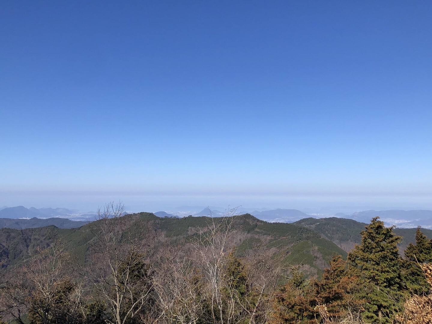 竜王山（阿波竜王）・竜王山（讃岐竜王） / なかむらさんの竜王山（讃岐山脈）・大川山の活動データ YAMAP / ヤマップ