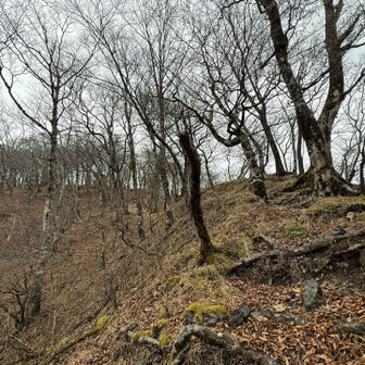 こんな雨の中登ってくる人がいて。

町田の山岳救助隊の方達でした。