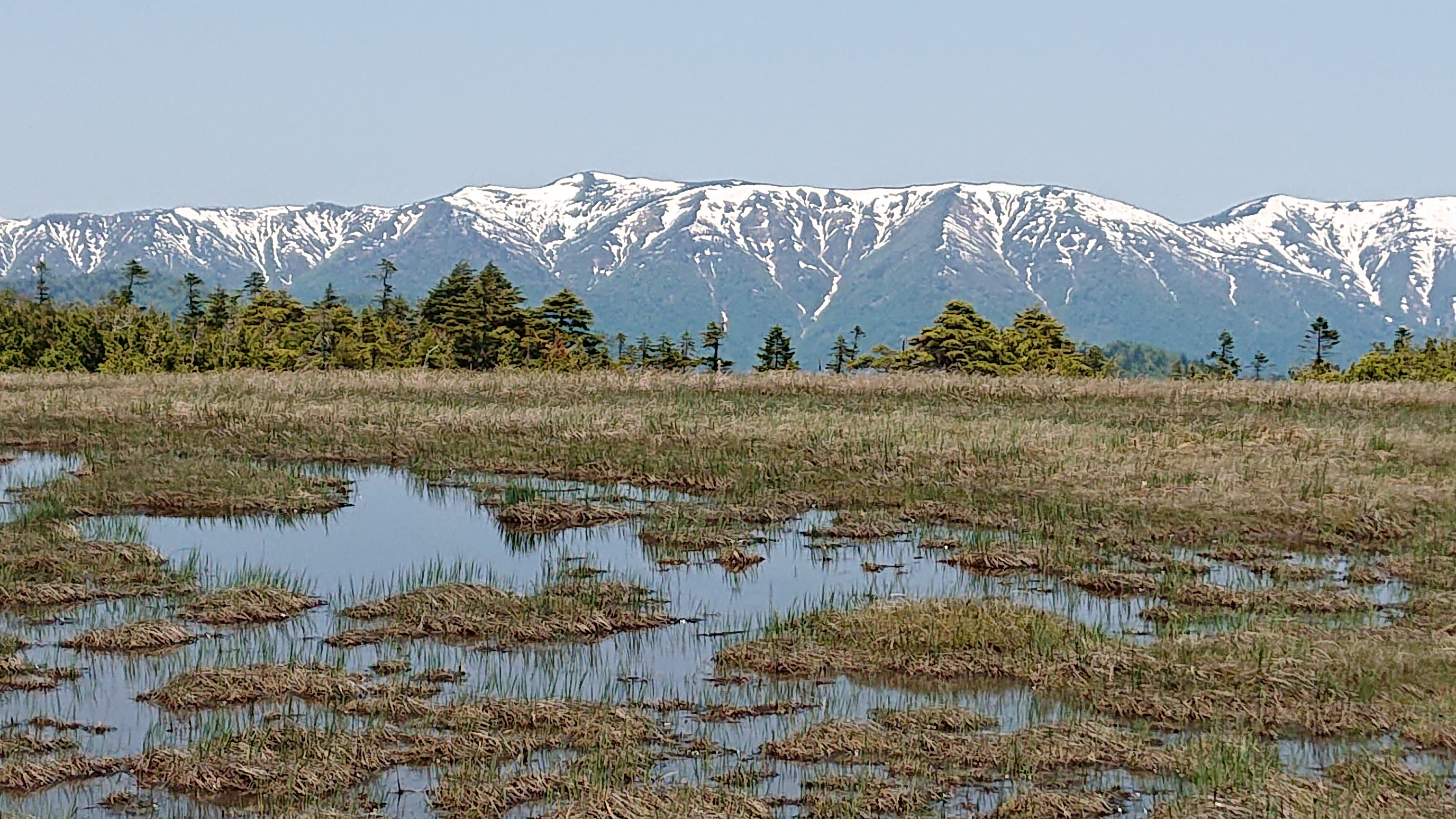 田代山 / akiさんの帝釈山・田代山の活動データ YAMAP / ヤマップ