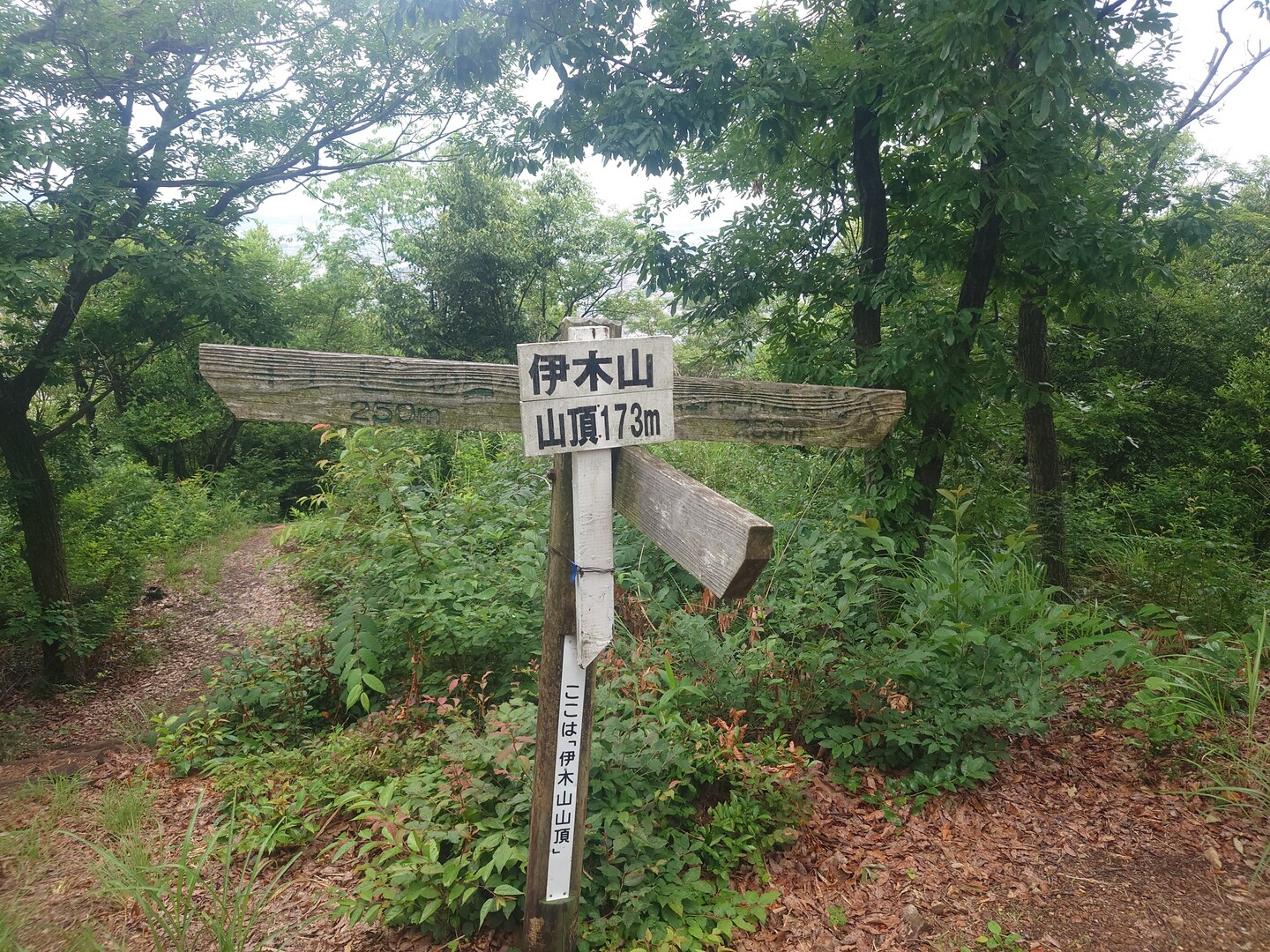 伊木山 / AKAHARAイモリさんの伊木山（夕暮富士）の活動データ YAMAP / ヤマップ