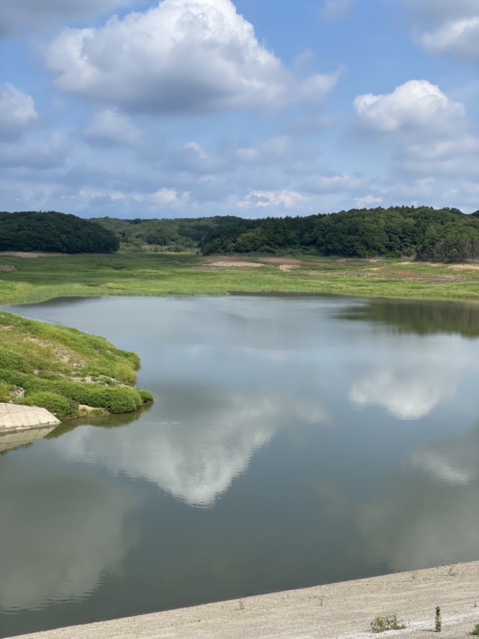 狭山湖 多摩湖 谷津仙元富士散歩 としのぶさんの六道山 多摩湖 狭山湖の活動日記 Yamap ヤマップ