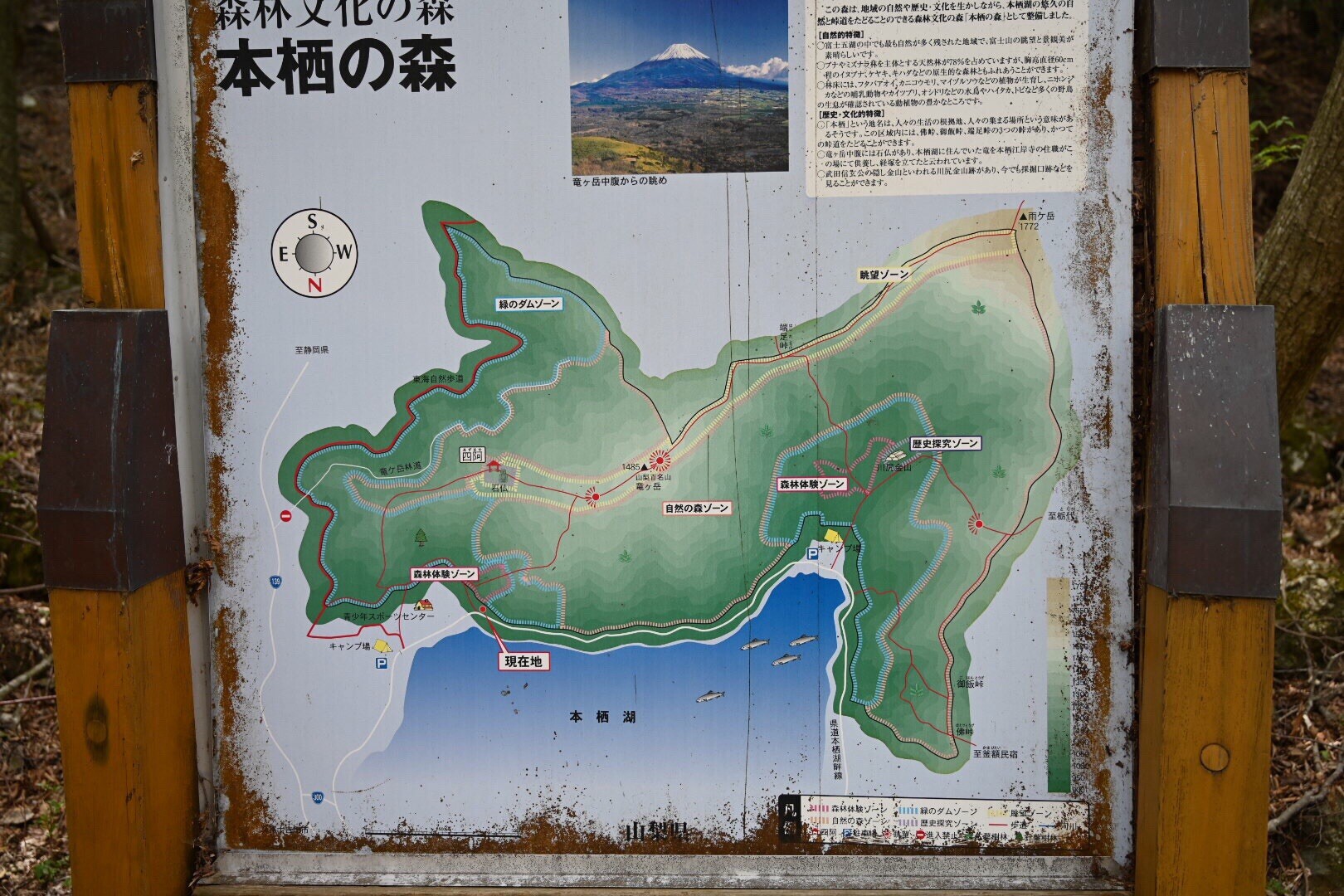 竜ヶ岳 富士山眺望が最高の山 19 05 03 ふくちゃんさんの毛無山 山梨県 静岡県 雨ヶ岳 竜ヶ岳の活動日記 Yamap ヤマップ