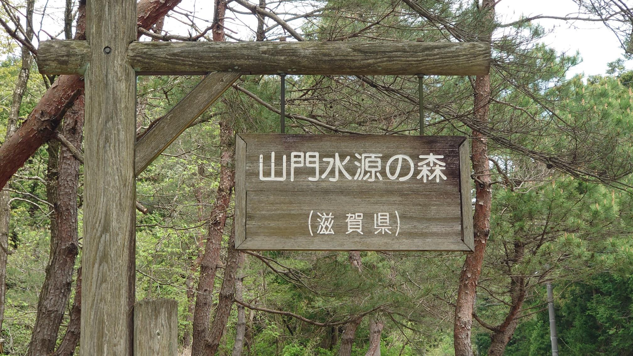 お花探し☆山門水源の森 / むーさんの東ヶ谷山・山門水源の森の活動データ | YAMAP / ヤマップ
