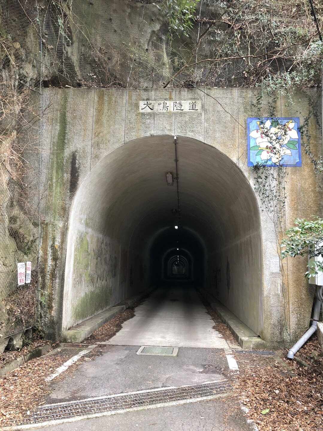 和泉山脈 滝畑 犬鳴山温泉 滑って転んで まいっちんぐ ゆうさんさんの槇尾山 槙尾山 和泉葛城山 神於山の活動データ Yamap ヤマップ