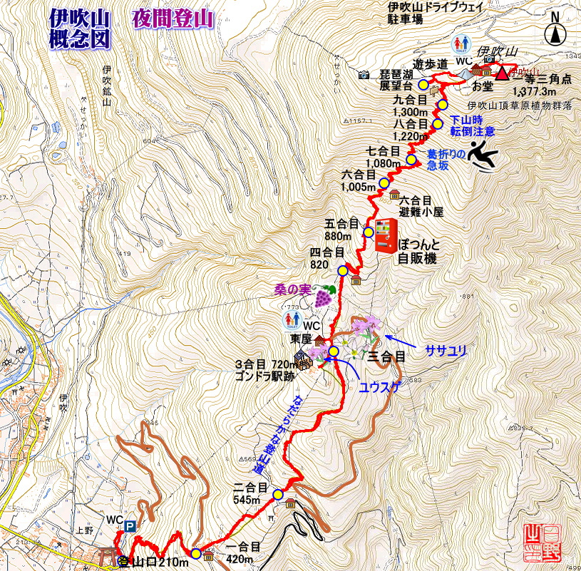 １３年ぶりの伊吹山夜間登山 日野家の山歩きさんの伊吹山 伊吹高原 御座峰の活動日記 Yamap ヤマップ