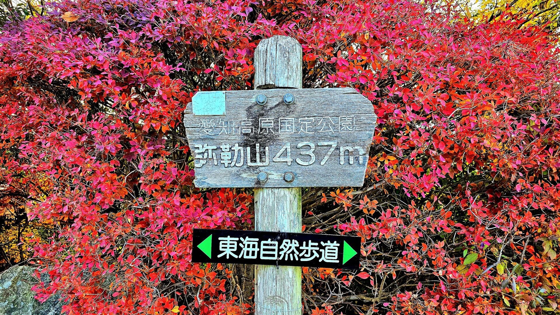 弥勒山(96回目) / みわは.さんの春日井三山・弥勒山・大谷山・道樹山の活動データ YAMAP / ヤマップ