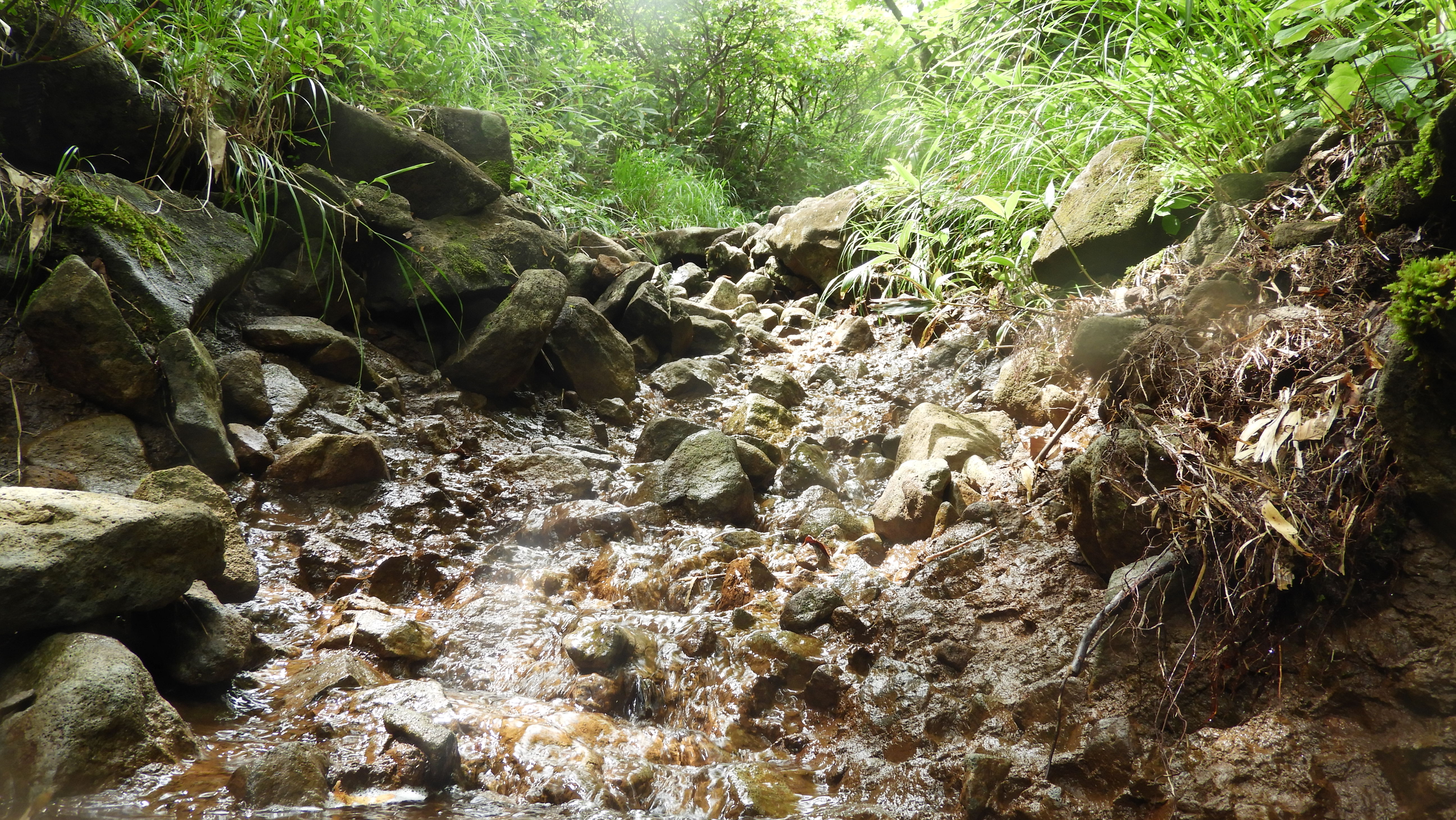 船形山（御所山）・泉ヶ岳・蛇ヶ岳 こっちの下りもこの日は沢下り...

