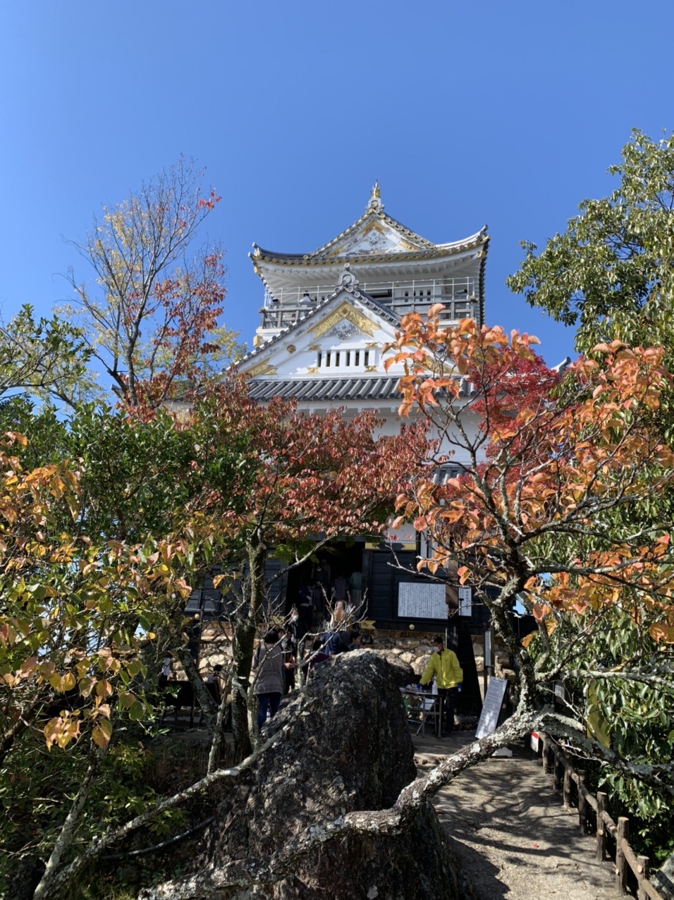 金華山 紅葉 Miiiiさんの金華山 洞山 舟伏山の活動データ Yamap ヤマップ