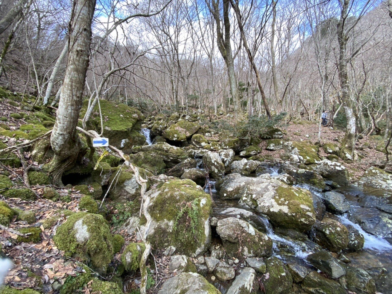 春の日本コバを周回 日本コバ 衣掛山 どんマイケルさんの日本コバの活動データ Yamap ヤマップ