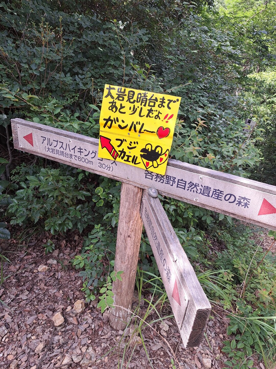 2023-07-06-greenbook-yamap