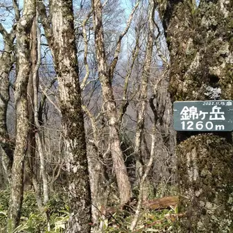 錦ケ岳山頂。