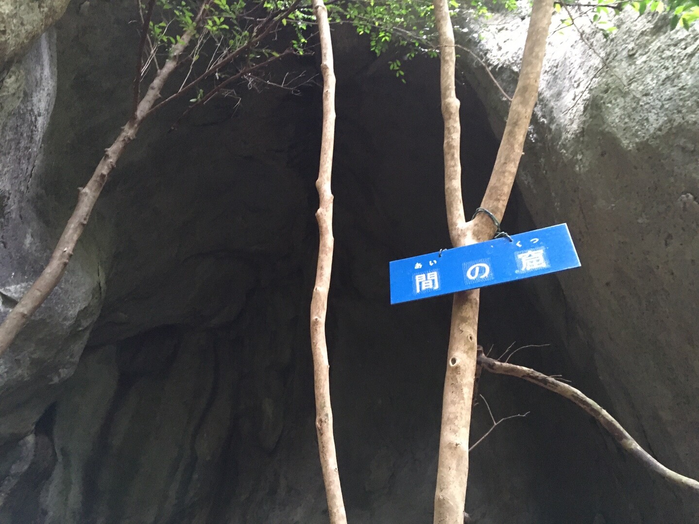 上臈岩 洞窟めぐり Komiwanさんの宇連山 鳳来寺山 岩古谷山の活動日記 Yamap ヤマップ