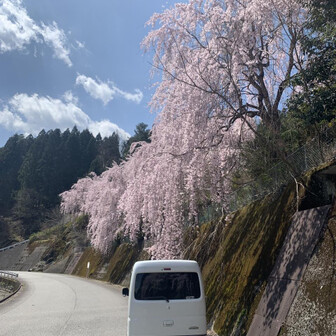 オオクボ