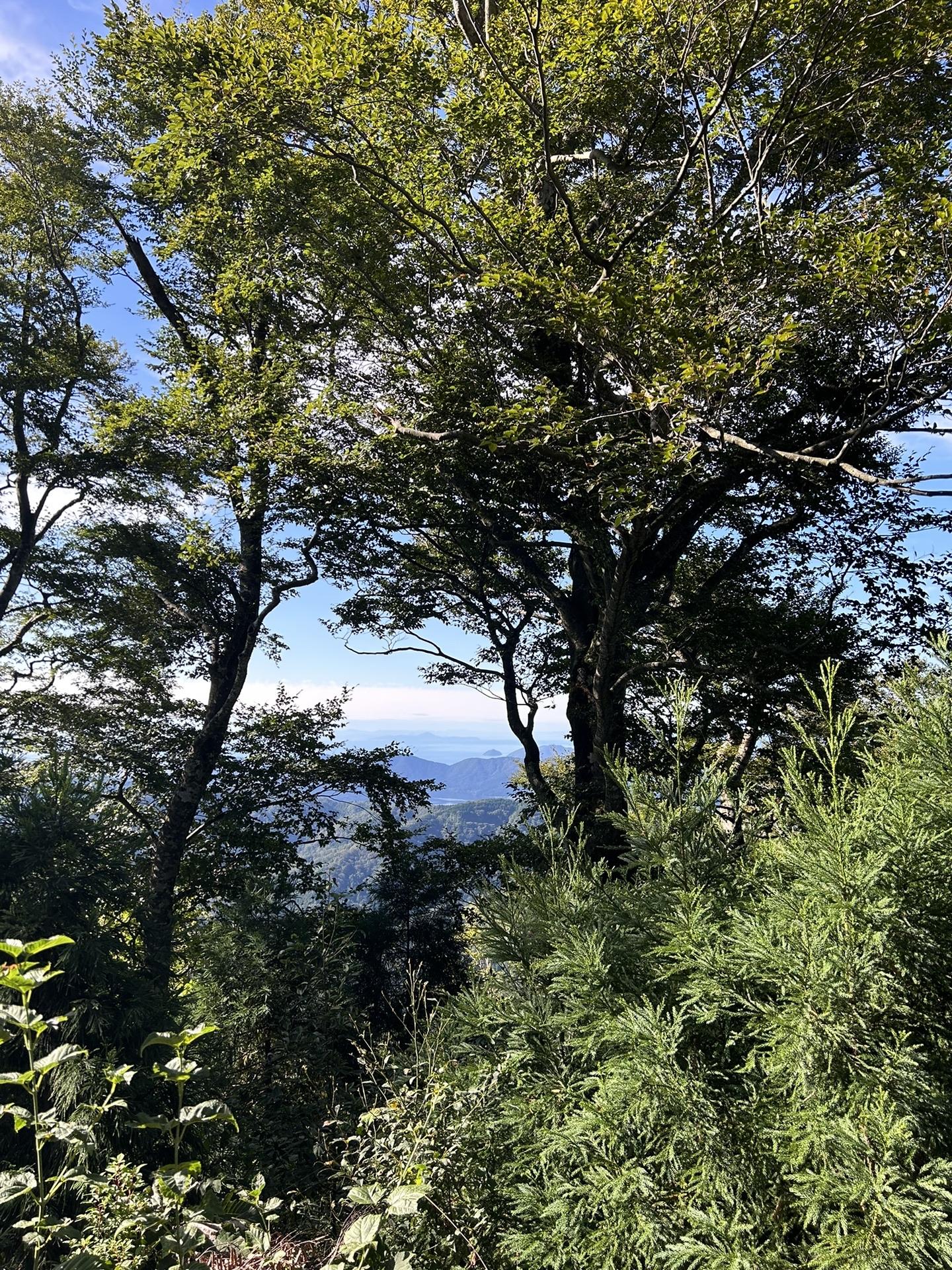 七七頭ヶ岳(七々頭ヶ岳) / チャコさんの新谷山・妙理山・七七頭ヶ岳の活動データ YAMAP / ヤマップ