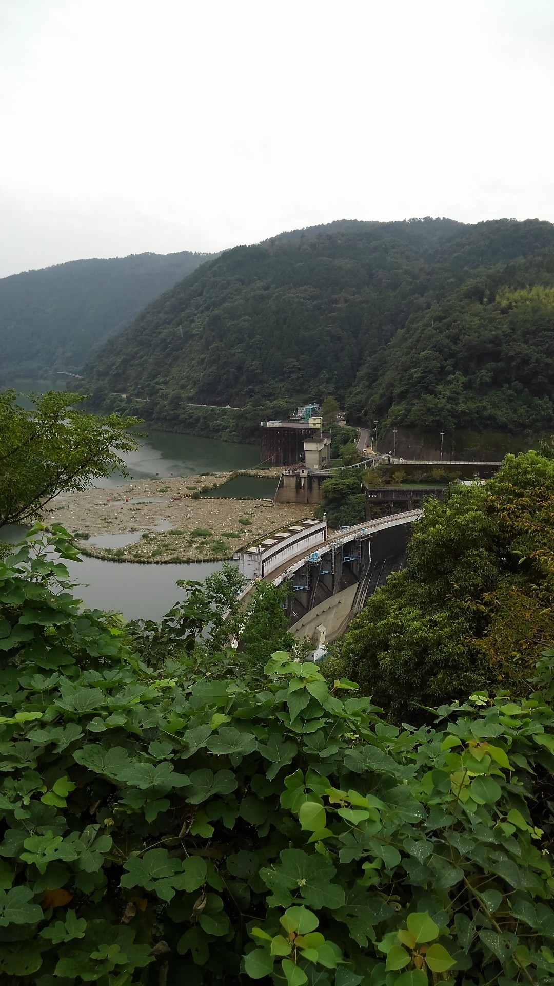 京都宇治 天ヶ瀬自然公園 小 …