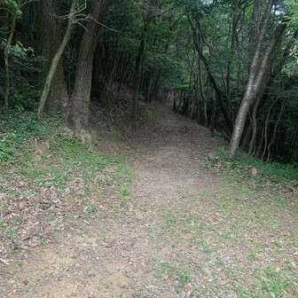 梅田峠からラクダ岩への平坦ルート