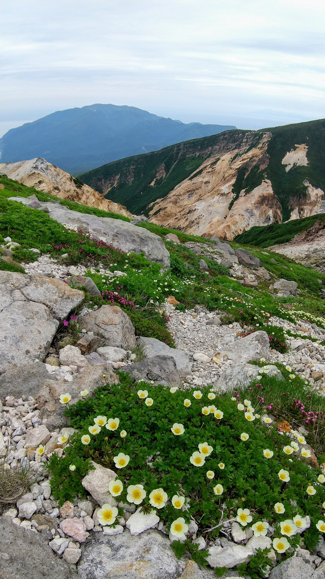 知床連山縦走 2泊3日 硫黄山登山口 岩尾別登山口 あきなさんの羅臼岳 硫黄山 知床 羅臼湖の活動データ Yamap ヤマップ